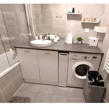 Apartman With Garden In Ferney Ideal Un Or Cern